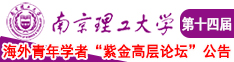 色亚洲大鸡吧视频南京理工大学第十四届海外青年学者紫金论坛诚邀海内外英才！